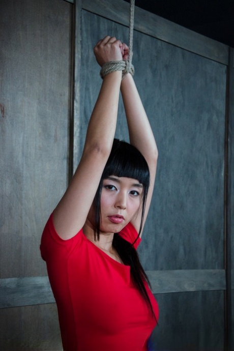 asian bdsm erotic gallery