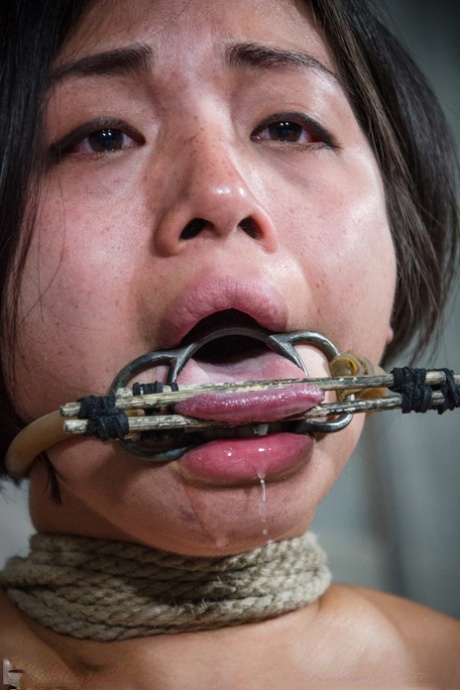 asiatisk bondage hete beste arkiv