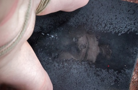 asian pissing free xxx photo