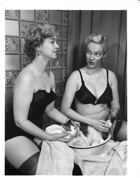 vintage lingerie sexy nudes gallery