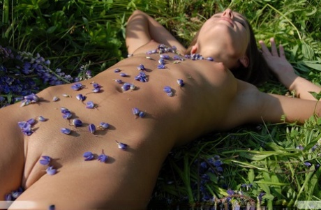 Nikki D nudes star image