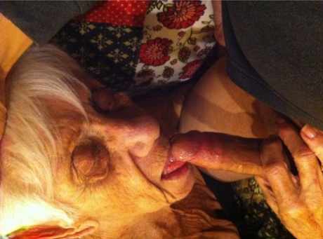 granny sucks cock beautiful porn images