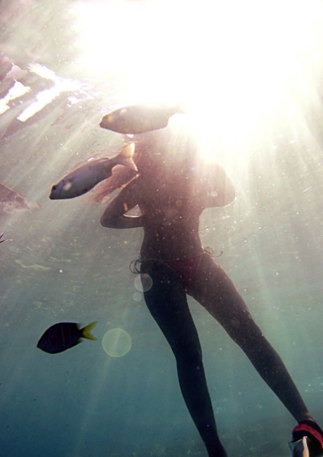 underwater hd archive