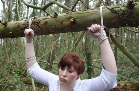 outdoor bdsm art porn galleries
