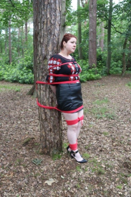 bbw bdsm porno archive