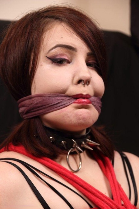 Ebenholz Upskirt porno kunst bilder