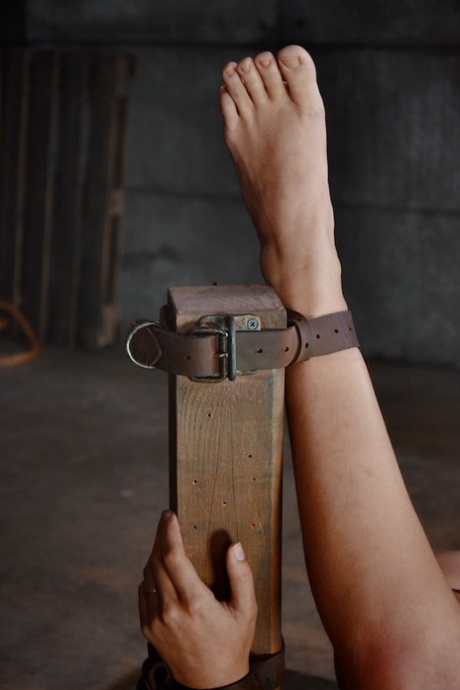 strap-on maduro bonito perfecto foto