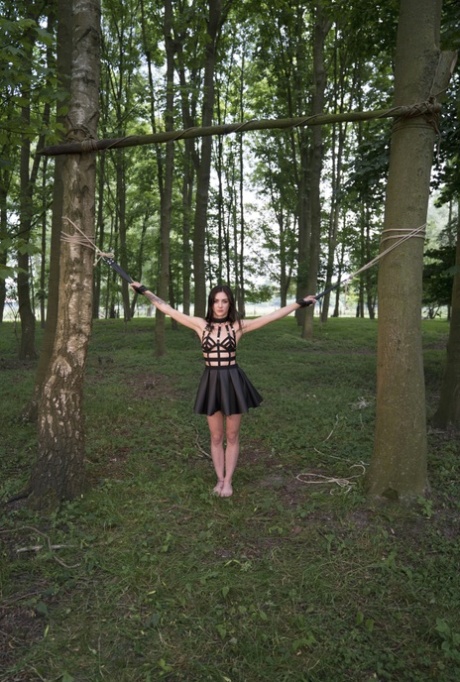 outdoor bdsm art xxx images