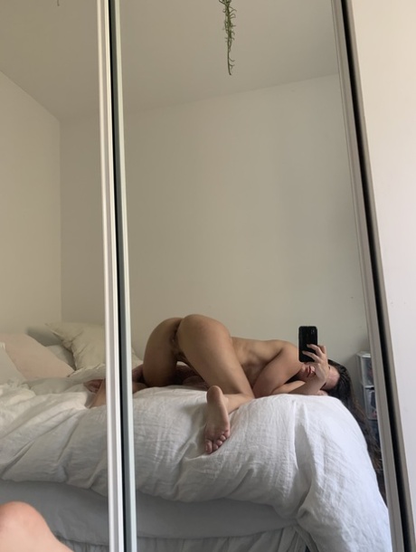 galo melhor exclusivo imagens
