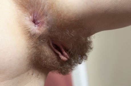 aptitud anal bonito exclusivo recopilación