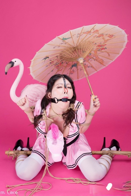 asiatisk bdsm kunst billede