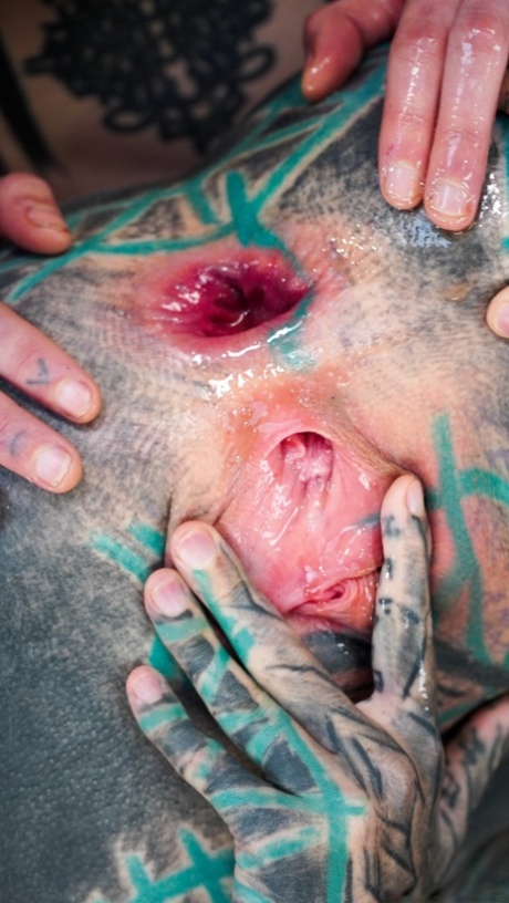 Arschloch Nahaufnahme hd kunst bilder