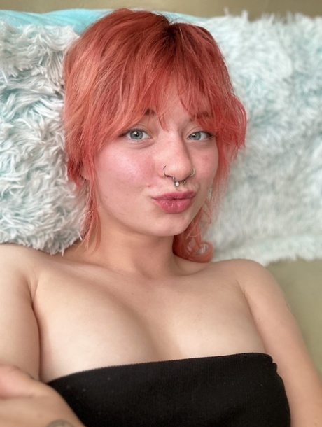 dikke amateur xxx volwassene verzameling
