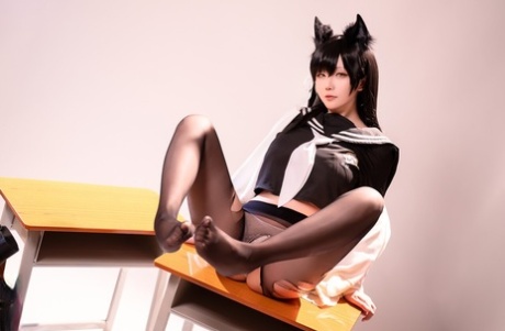 小柄な猫 可愛い 写真