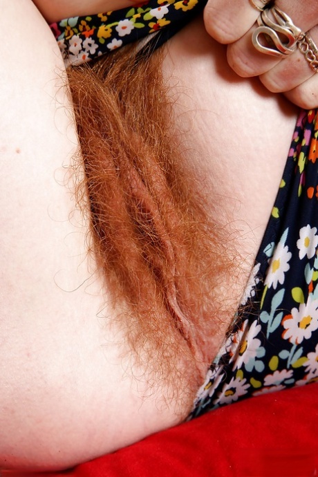 peludo de cerca mejor adulto foto