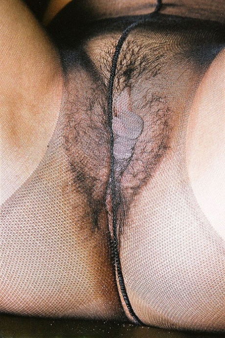 collants poilus meilleur gratuit des photos