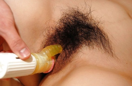 hårete japansk pene adult foto