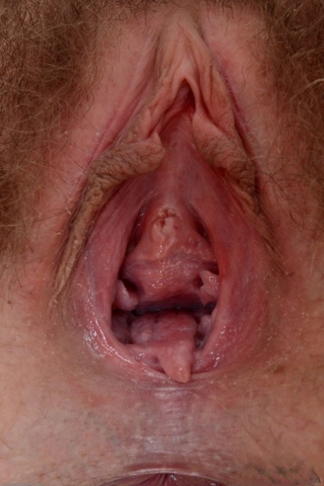 buceta peluda espalhada sexo foto