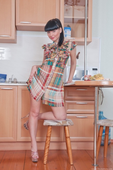 シースルードレス ベスト 写真