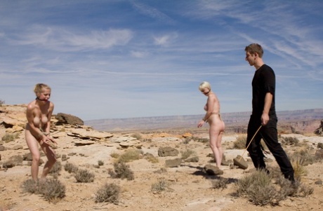 outdoor bdsm sex gallery