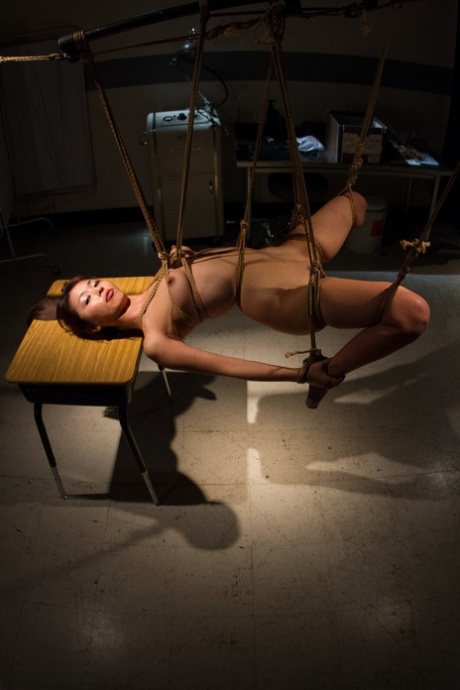 bdsm japonês arte pornográfica imagem