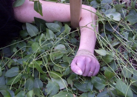 outdoor bdsm art nude pic