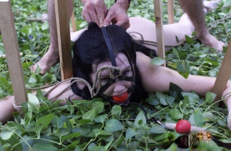 outdoor bdsm sexy naked photos
