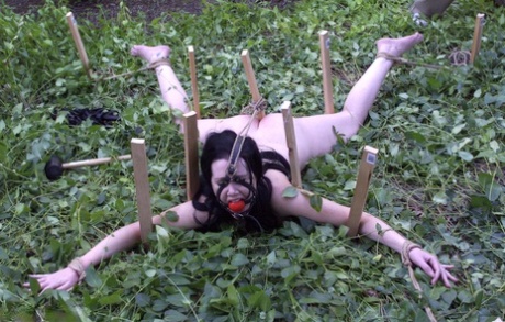 outdoor bdsm pretty picture