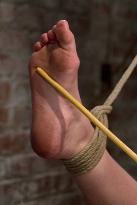 bdsm脚 裸 圖片