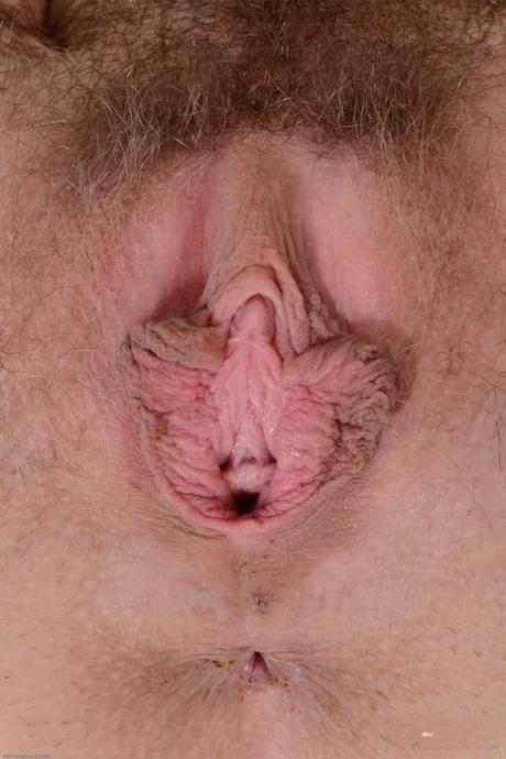 peludo de cerca sexo recopilación