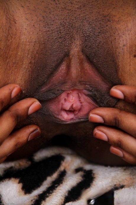 ciasno ogolona cipka porno hd kolekcja