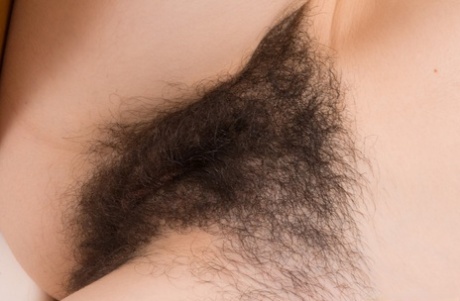 brunette hairy pussy sexy naked images