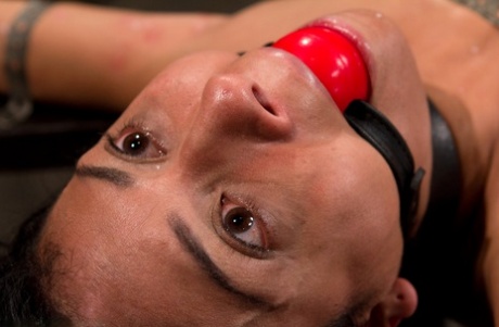 latinamerikansk bdsm smuk top kollektion
