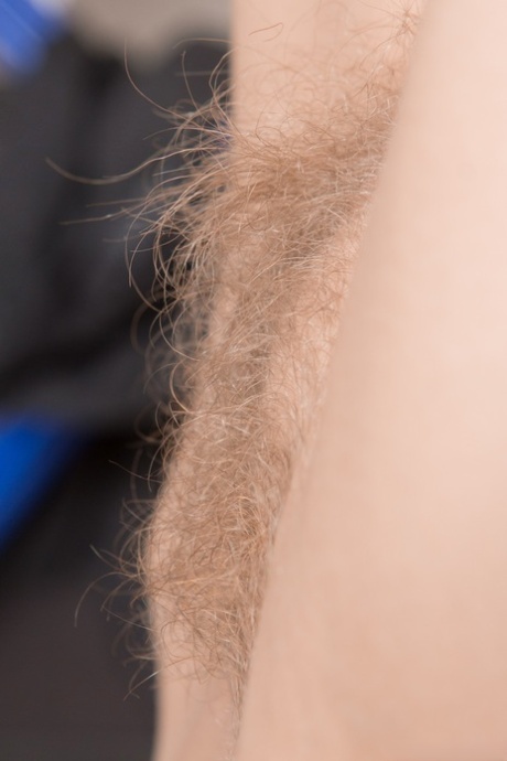 hairy wife art nude pictures