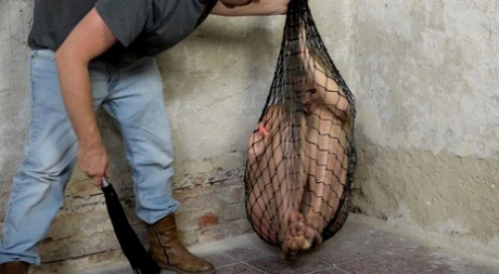 BDSMの足 ホット 画像