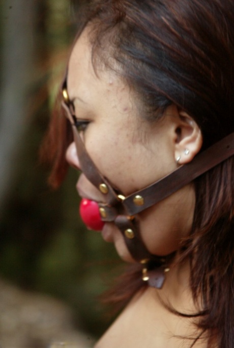 asiatisk bdsm bedste sex billede
