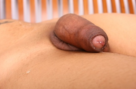 ladyboy con piccolo cazzo arte bella fotografie