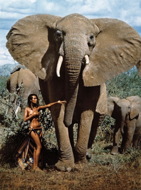 afro exclusive gallery
