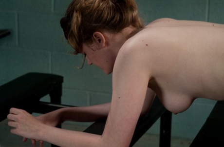 esguicho bdsm melhor pornográfico coleção