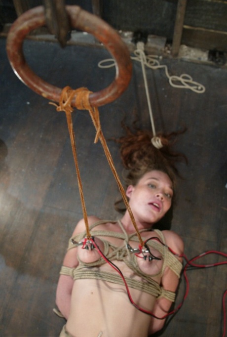bdsm-bröst gratis erotik gallerier