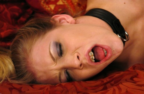 on male xxx galleries