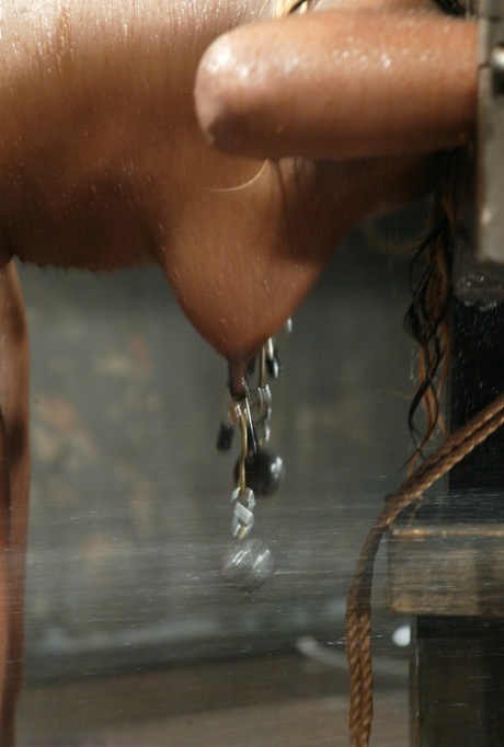 ebano bagnato nudo hd foto