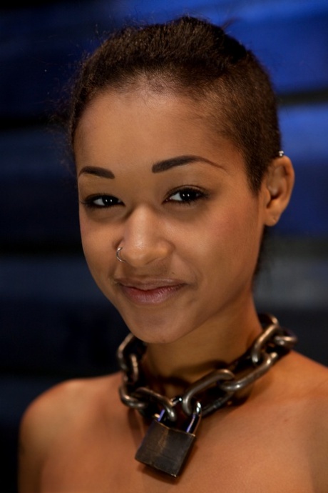 Skin Diamond art pornstar pic