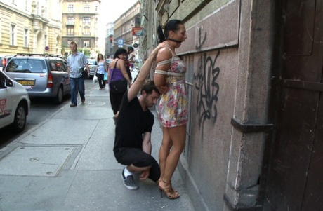 public bdsm hot sexy galleries