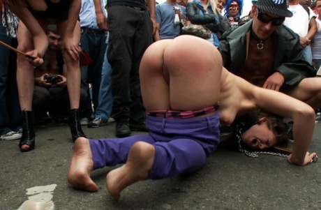 publiczny BDSM hd piękne zdjęcie