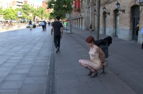 public bdsm free porn img