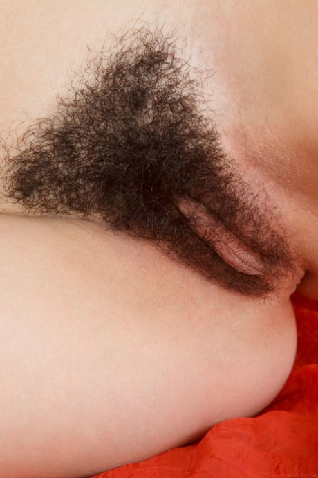 chlupatá holka pornografický img