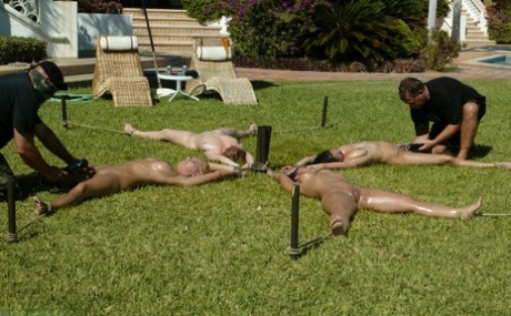 public bdsm sexy naked image