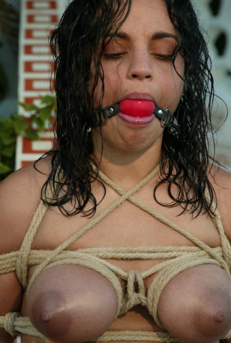 bbw bondage fin høy kvalitet foton