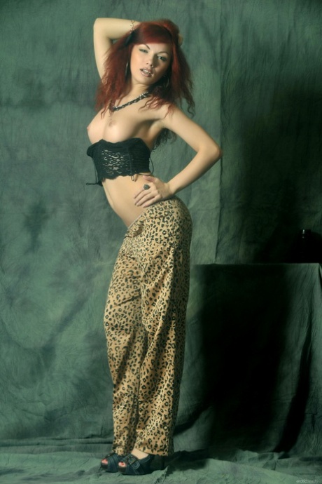 Diana Siefert high quality star image
